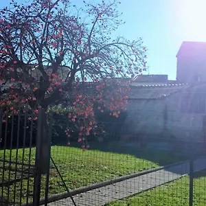 La Casa Di Lucia - Appartement Florence